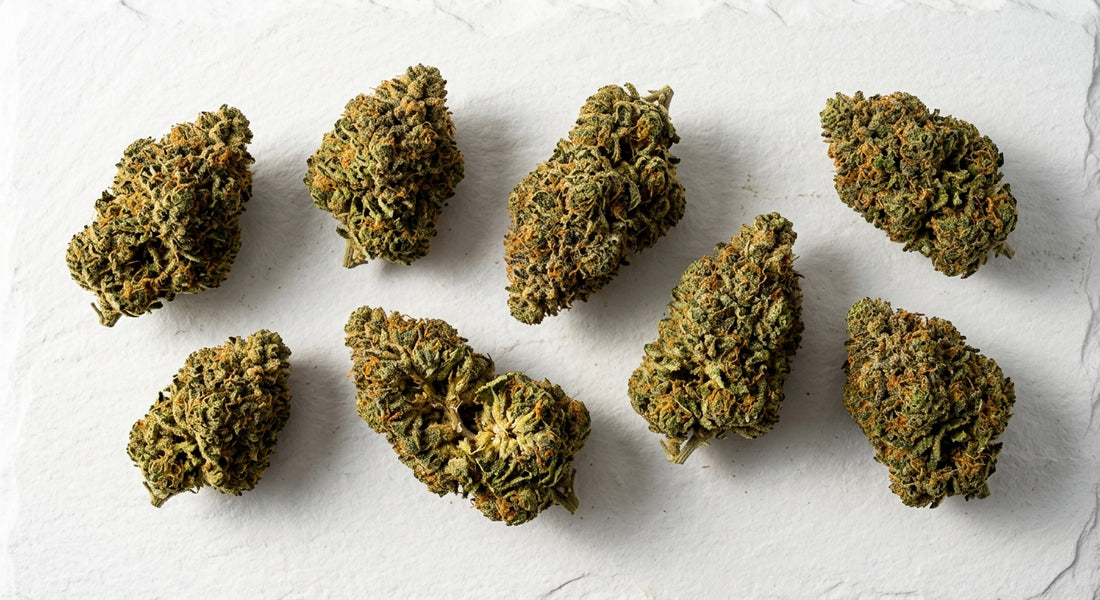ingrosso CBD fiori di canapa premium sfusi su superficie bianca per rivenditori wholesale 2026