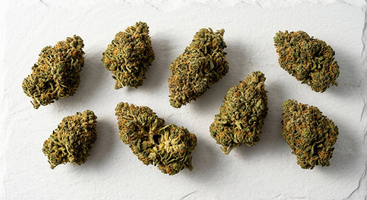 ingrosso CBD fiori di canapa premium sfusi su superficie bianca per rivenditori wholesale 2026