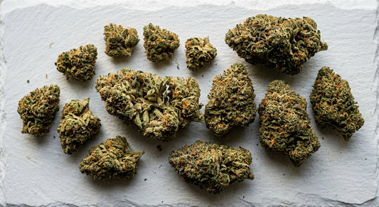 Guava indica-dominant THCA hemp flower buds flat lay on white surface Hurcann