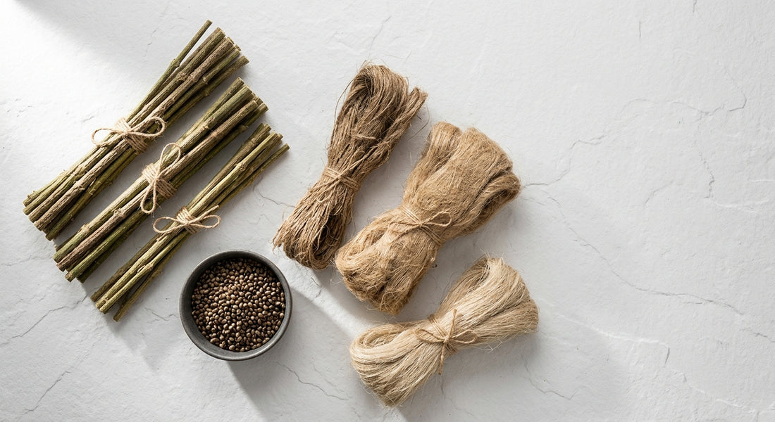 hemp biomass biodegradable stalks fiber and seeds flat lay wholesale Hurcann 2026