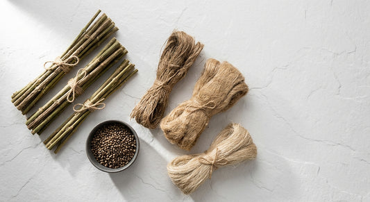 hemp biomass biodegradable stalks fiber and seeds flat lay wholesale Hurcann 2026
