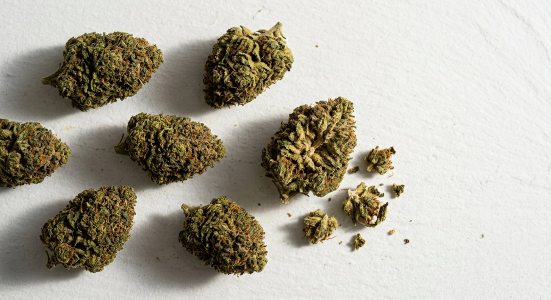 is hemp flower legal 2026 dense CBD hemp flower buds flat lay Hurcann