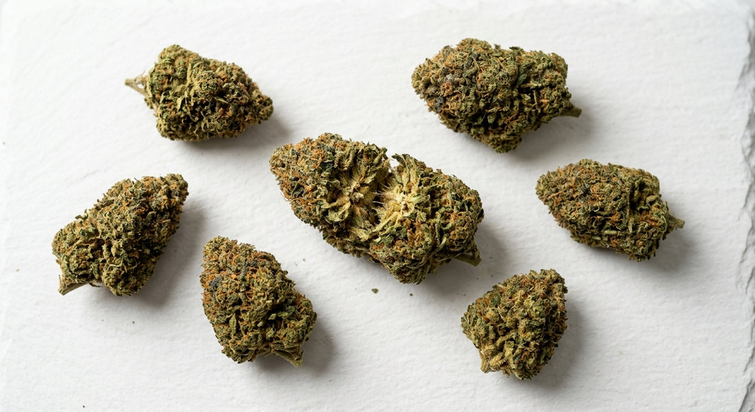 premium CBD hemp flower buds legal in Georgia 2026 Hurcann