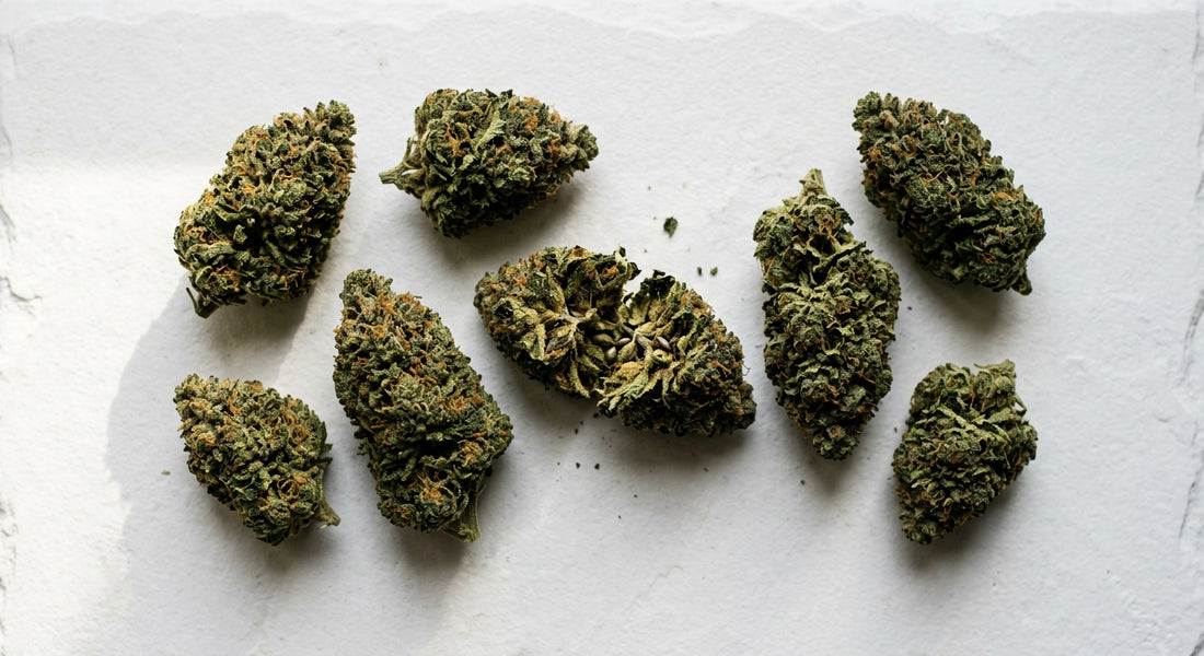 kwiaty CBD hurtownia premium dense indoor hemp flower buds wholesale 2026
