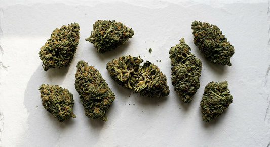 kwiaty CBD hurtownia premium dense indoor hemp flower buds wholesale 2026