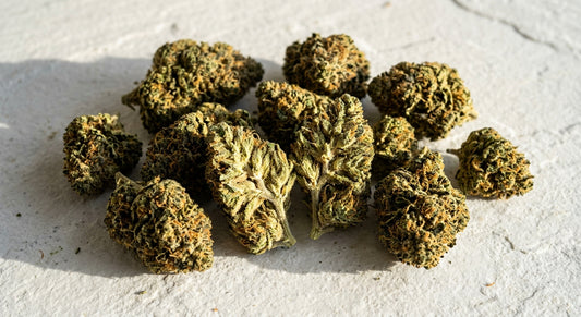 Lifter CBD hemp flower buds flat lay review dense cured outdoor grown
