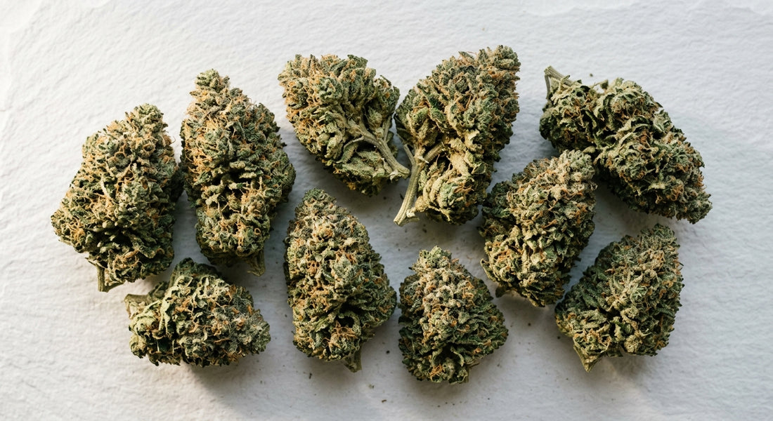 Lifter CBD hemp flower buds flat lay showing dense trichome-covered nugs wholesale Hurcann