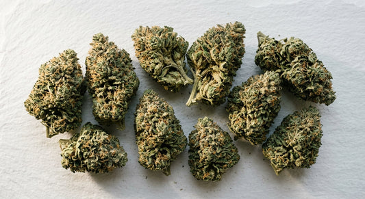 Lifter CBD hemp flower buds flat lay showing dense trichome-covered nugs wholesale Hurcann