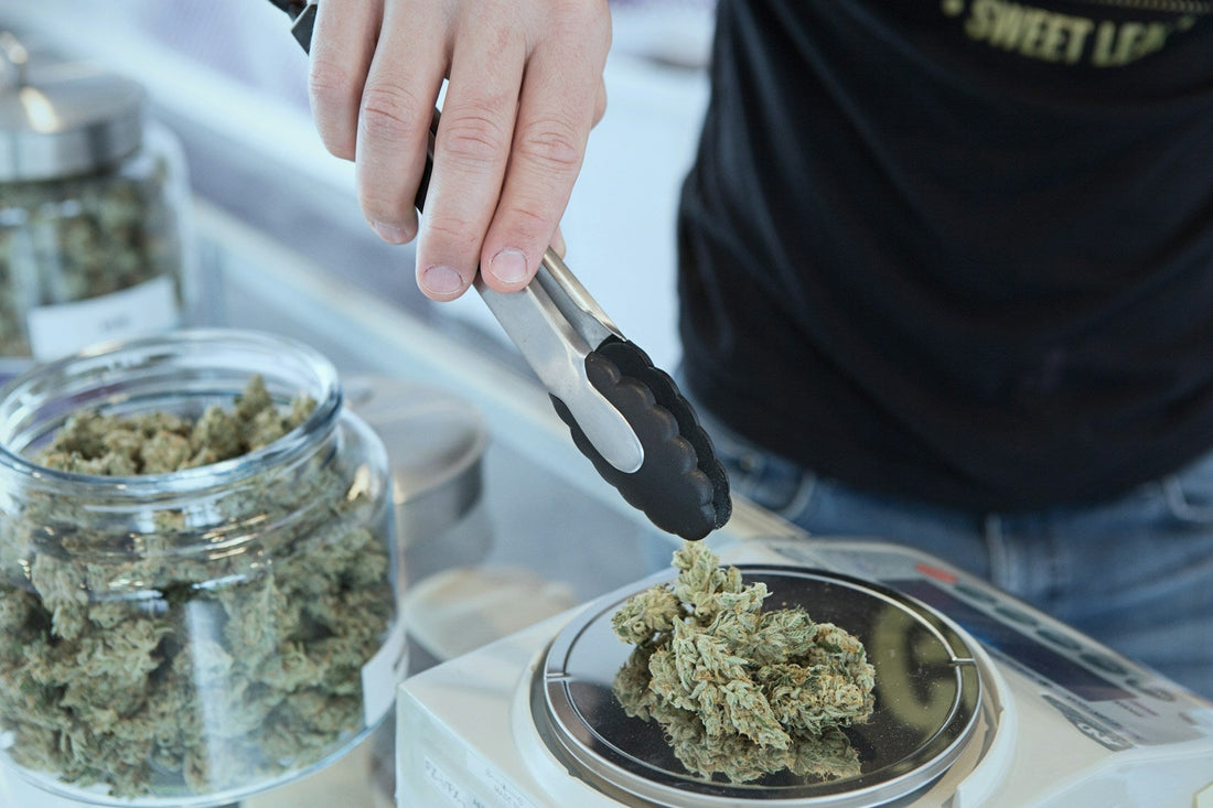 A person using metal tongs to place cannabis buds on a digital scale, with glass jars of cannabis in the background at a dispensary