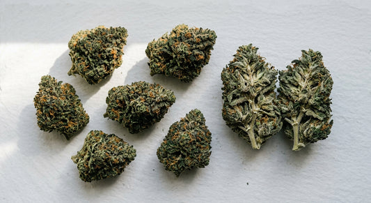 premium marihuana blüten cannabis buds flat lay trichome-covered wholesale 2026