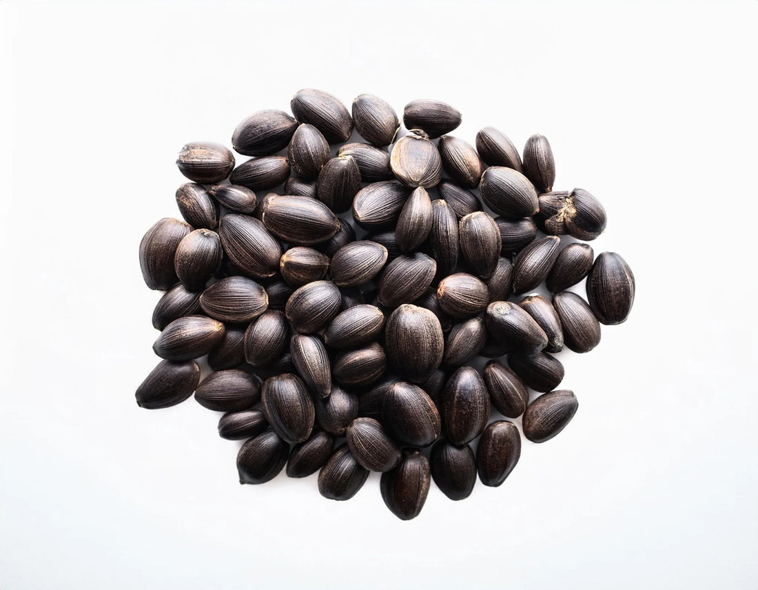 Marijuana Seeds Turning Black: The Hows And Whys – Hurcann Blog