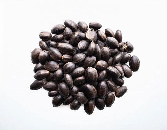 Marijuana Seeds Turning Black: The Hows And Whys – Hurcann Blog