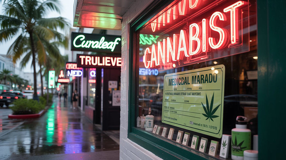 Vibrant Miami Green Mile street scene with neon dispensary signs for Cannabist, Curaleaf, and Trulieve, featuring a medical marijuana card and cannabis products.