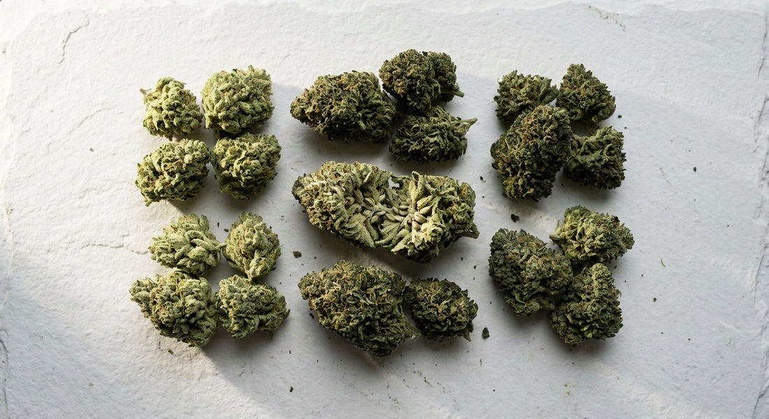 minor cannabinoids CBG and CBD hemp flower buds flat lay Hurcann 2026