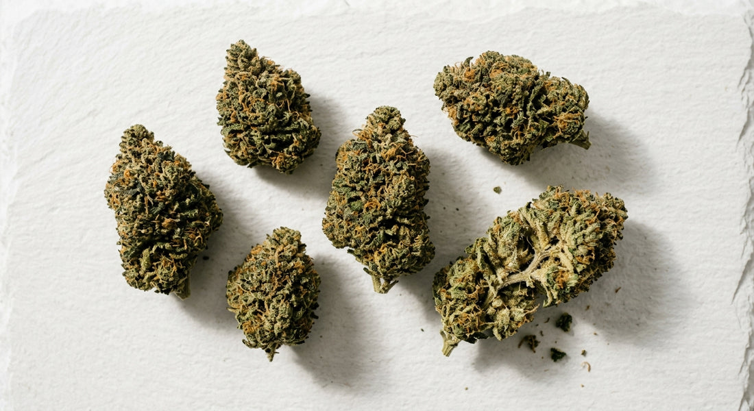 mon plan CBD fleur de chanvre premium indoor dense en vrac 2026 Hurcann