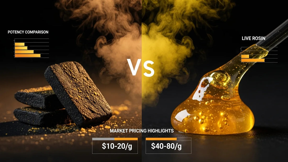Comparative featured image of Moroccan hash and live rosin illustrating potency, terpenes, and market differences | Hurcann