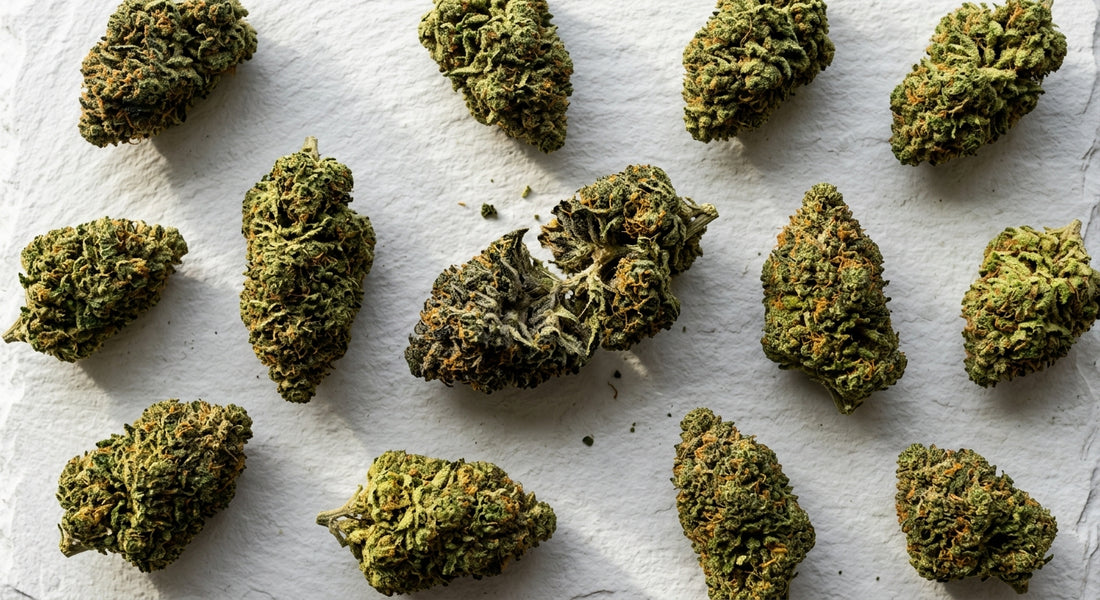 most trusted CBD flower brands US 2026 premium indoor hemp buds flat lay