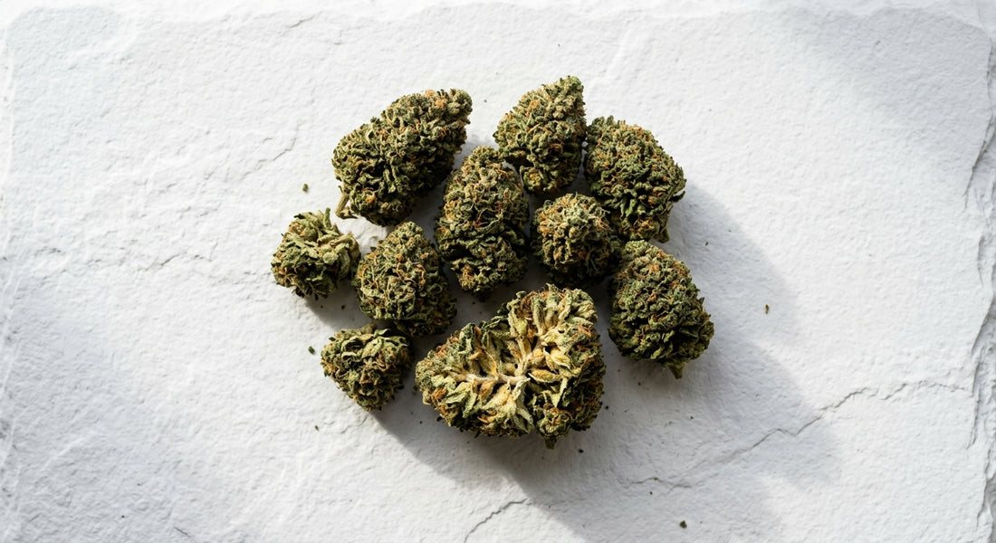 premium CBD hemp flower buds flat lay 2026 hemp brand comparison guide
