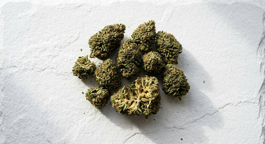 premium CBD hemp flower buds flat lay 2026 hemp brand comparison guide