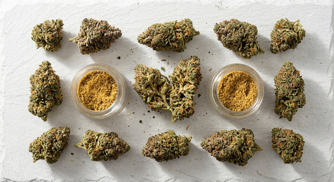 mwi wholesale smoke shop supplies CBD hemp flower and kief flat lay Hurcann
