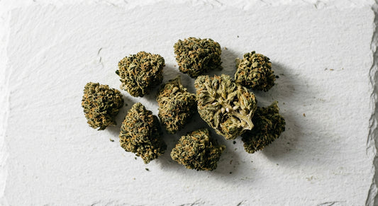 nature CBD fleur de chanvre naturelle dense buds verts premium grossiste 2026