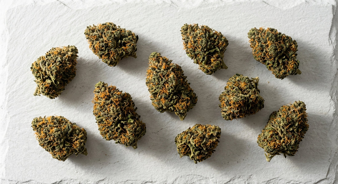 orange bud CBD hemp flower dense buds with orange pistils on white surface 2026