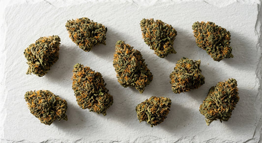 orange bud CBD hemp flower dense buds with orange pistils on white surface 2026