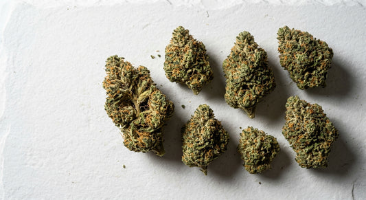 outdoor THCA flower buds flat lay dense sun-grown hemp 2026 Hurcann