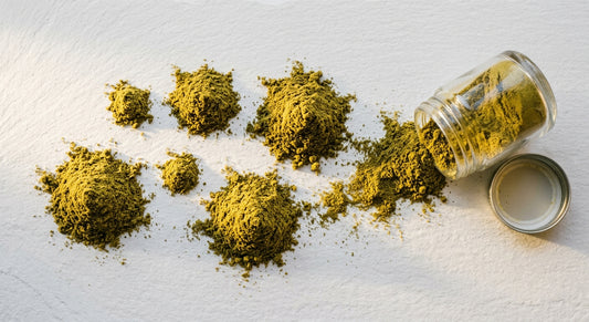 pollen CBD en gros 100 vol kief doré concentré chanvre grossiste 2026