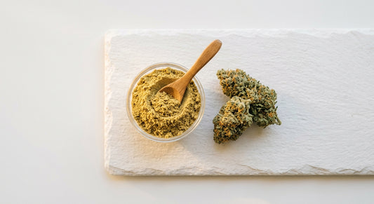 pollen de CBD kief doré en poudre avec fleurs de chanvre CBD sur surface blanche
