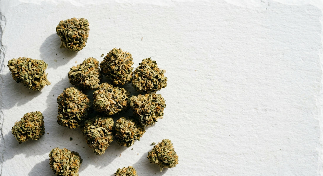 popcorn CBD hemp flower buds flat lay wholesale small nugs trichome covered
