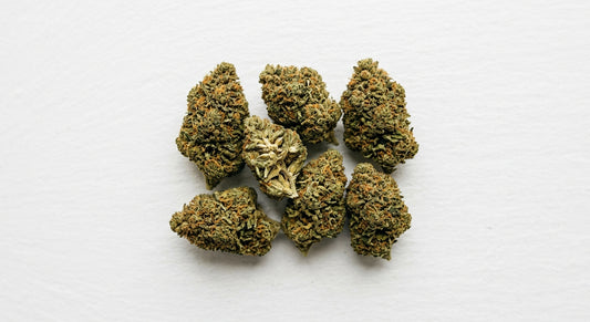 producteur cbd bretagne fleur de chanvre CBD outdoor séchée premium en vrac 2026