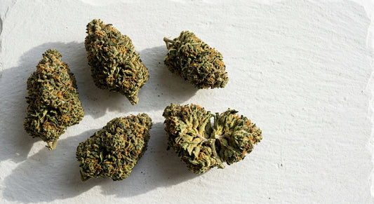 producteur CBD suisse premium indoor hemp flower buds wholesale flat lay 2026