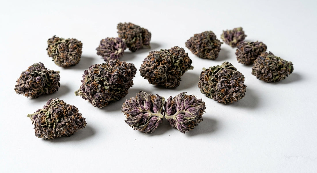 purple hemp flower buds flat lay showing deep violet anthocyanin coloration Hurcann