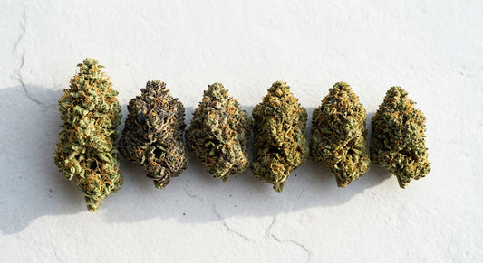 sativa vs indica THCA hemp flower buds side by side comparison flat lay Hurcann