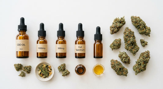sell CBD in Germany premium CBD oil bottles and hemp flower display wholesale