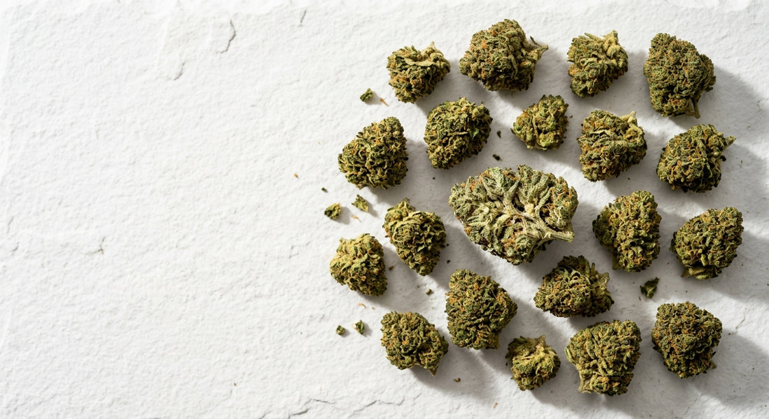 small CBD hemp flower buds flat lay showing trichome coverage and compact dense structure