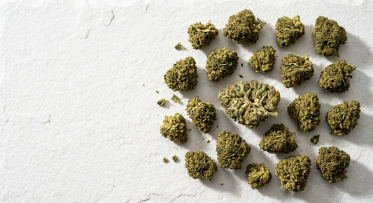 small CBD hemp flower buds flat lay showing trichome coverage and compact dense structure