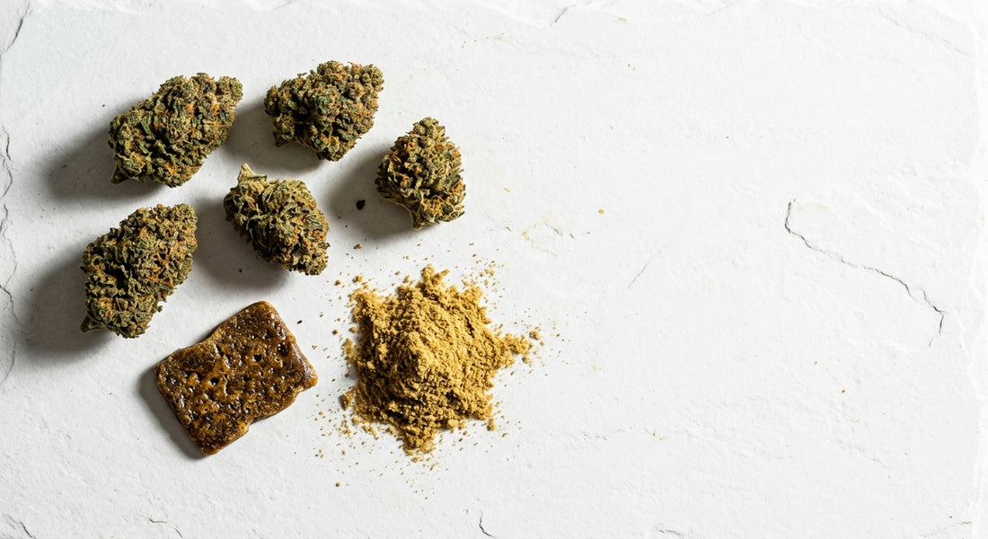 smoke shop wholesale supplier Tennessee Alabama CBD hemp flower hash kief bulk 2026