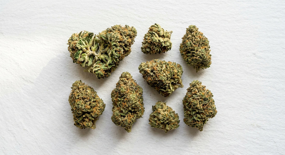 smoking hemp flower dense cured CBD buds flat lay on white matte surface 2026