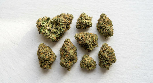 smoking hemp flower dense cured CBD buds flat lay on white matte surface 2026