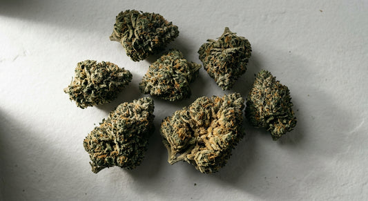 sno cap strain dense THCA hemp flower buds flat lay white surface Hurcann 2026