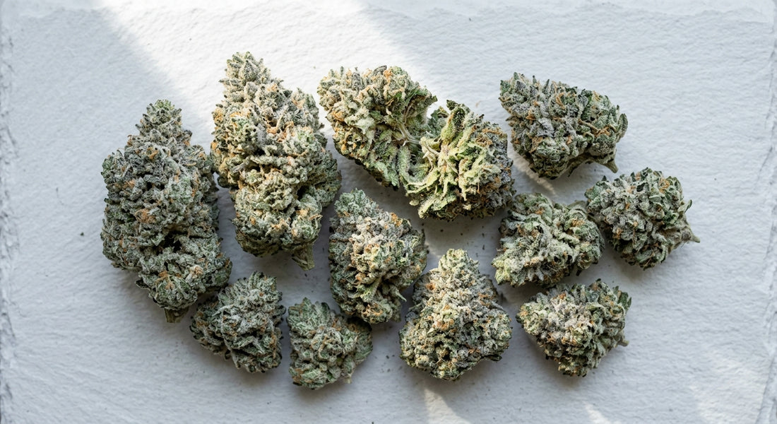 Snocap THCA hemp flower buds with dense trichome coverage flat lay 2026 Hurcann
