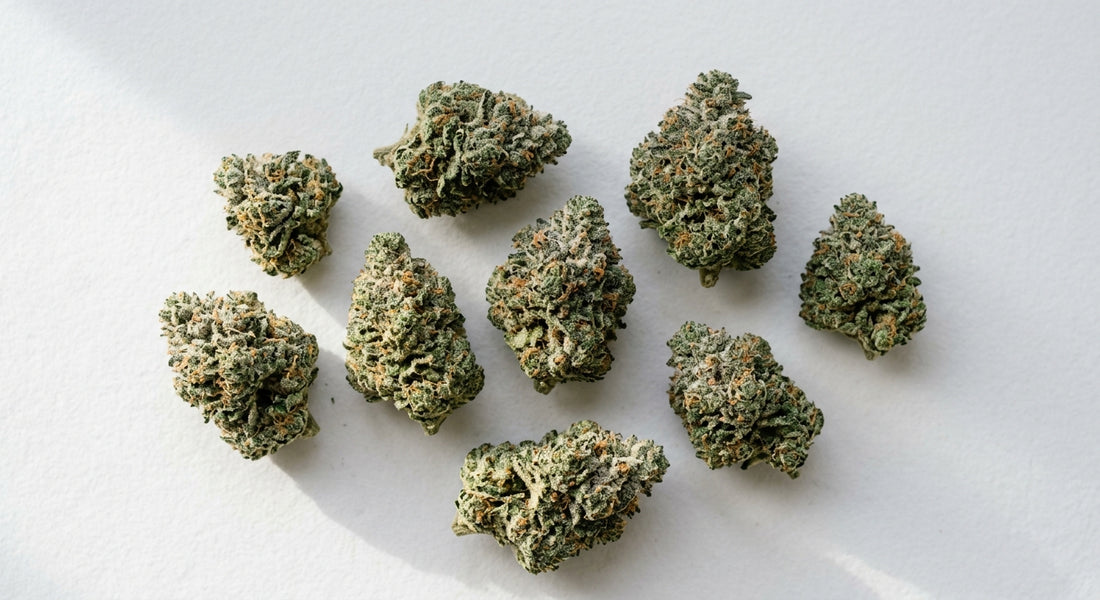 snow cap THCA hemp flower buds covered in white trichomes flat lay Hurcann
