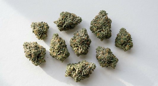 snow cap THCA hemp flower buds covered in white trichomes flat lay Hurcann
