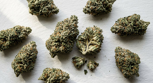 snowball cannabis strain dense trichome-covered THCA hemp flower buds flat lay