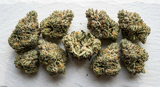 snowball gelato THCA hemp flower buds dense frosty trichome coverage flat lay Hurcann