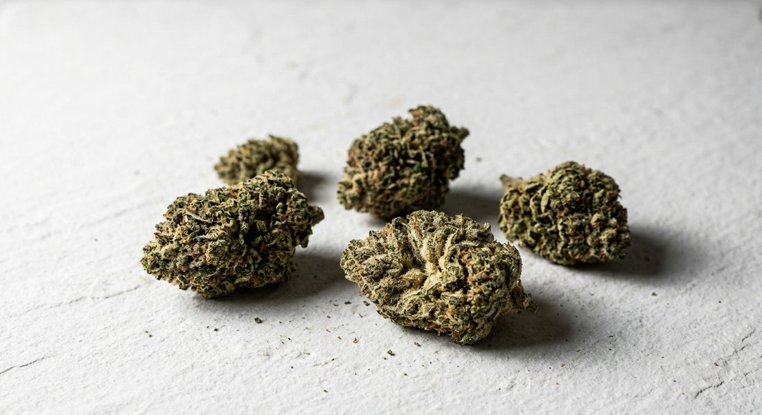 snowball strain effects dense frosted THCA hemp flower buds flat lay Hurcann
