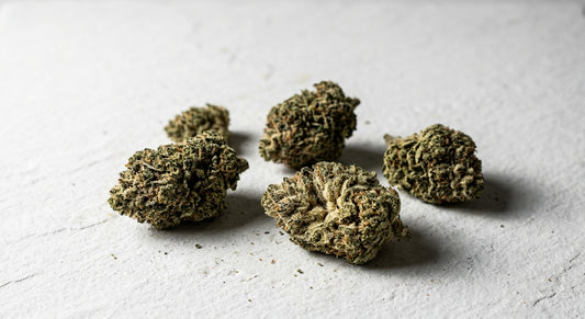 snowball strain effects dense frosted THCA hemp flower buds flat lay Hurcann