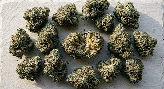 snowball strain leafly dense frosty THCA hemp flower buds flat lay Hurcann 2026